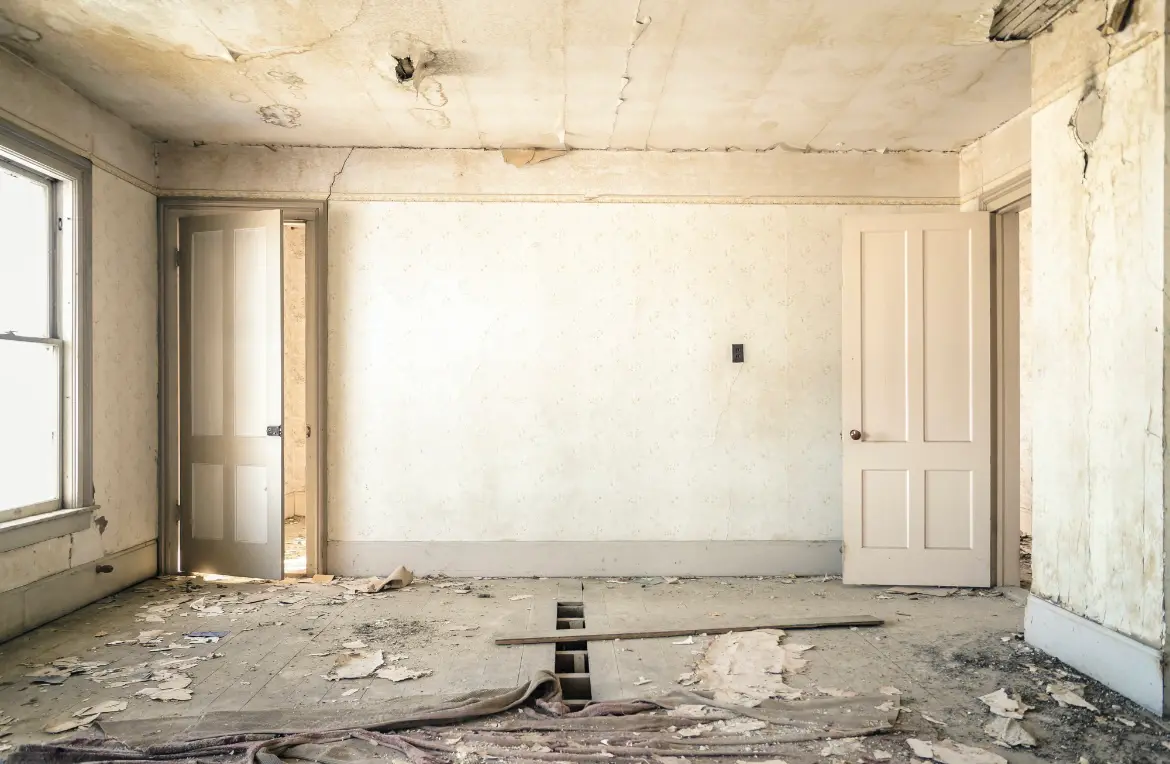 Waste disposal crew managing a cleanout project in Wolf